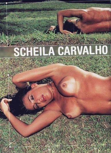 Scheila Carvalho Brüste